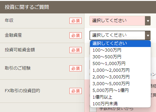 GMOクリック証券の口座開設時の資産入力欄